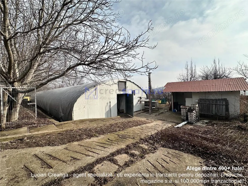 Hala  cort ciupercarie, crestere pui, 400mp, Dumesti