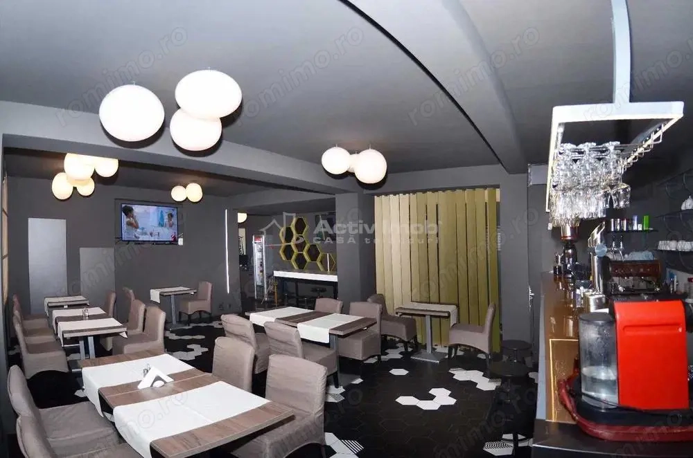 V #226;nzare Vila Spatiu Comercial-Zona Armeneasc #259;