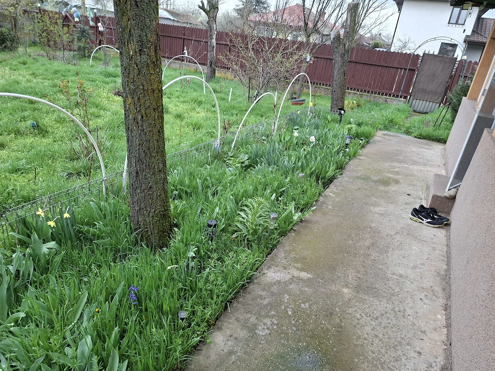 casa vanzare 3000m teleorman