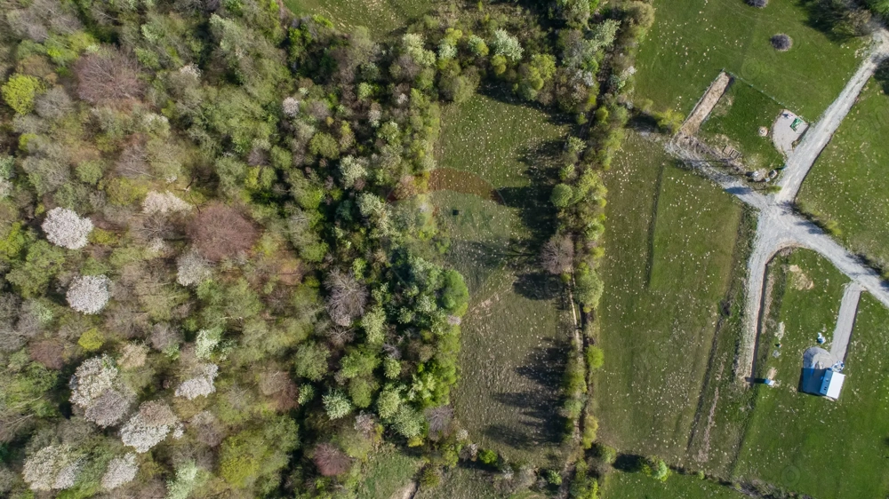 0% Comision | Teren intravilan Zărnești (Tohanița) | Vedere superbă