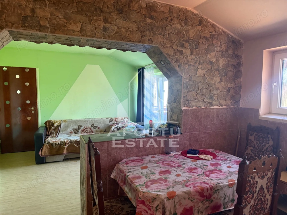 Casa individuala cu 193 mp utili in Timisoara