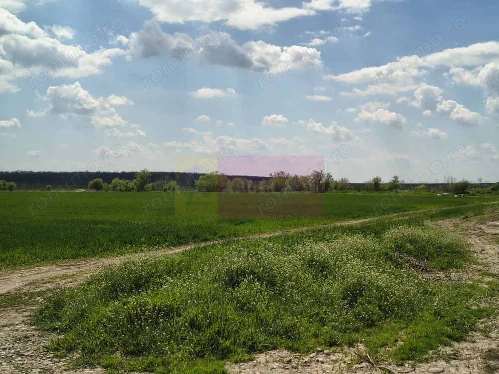 Poșta -Teren 12.450mp pretabil hală/rezidențial la 150ml de utilități