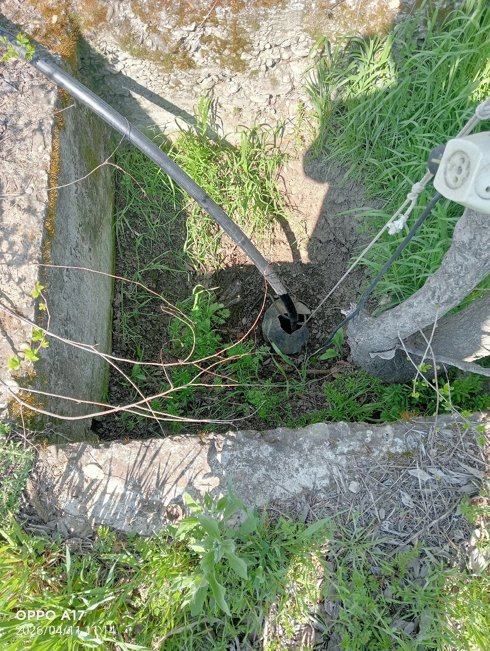 Vânzare teren 6300m2 Vasile Alecsandri