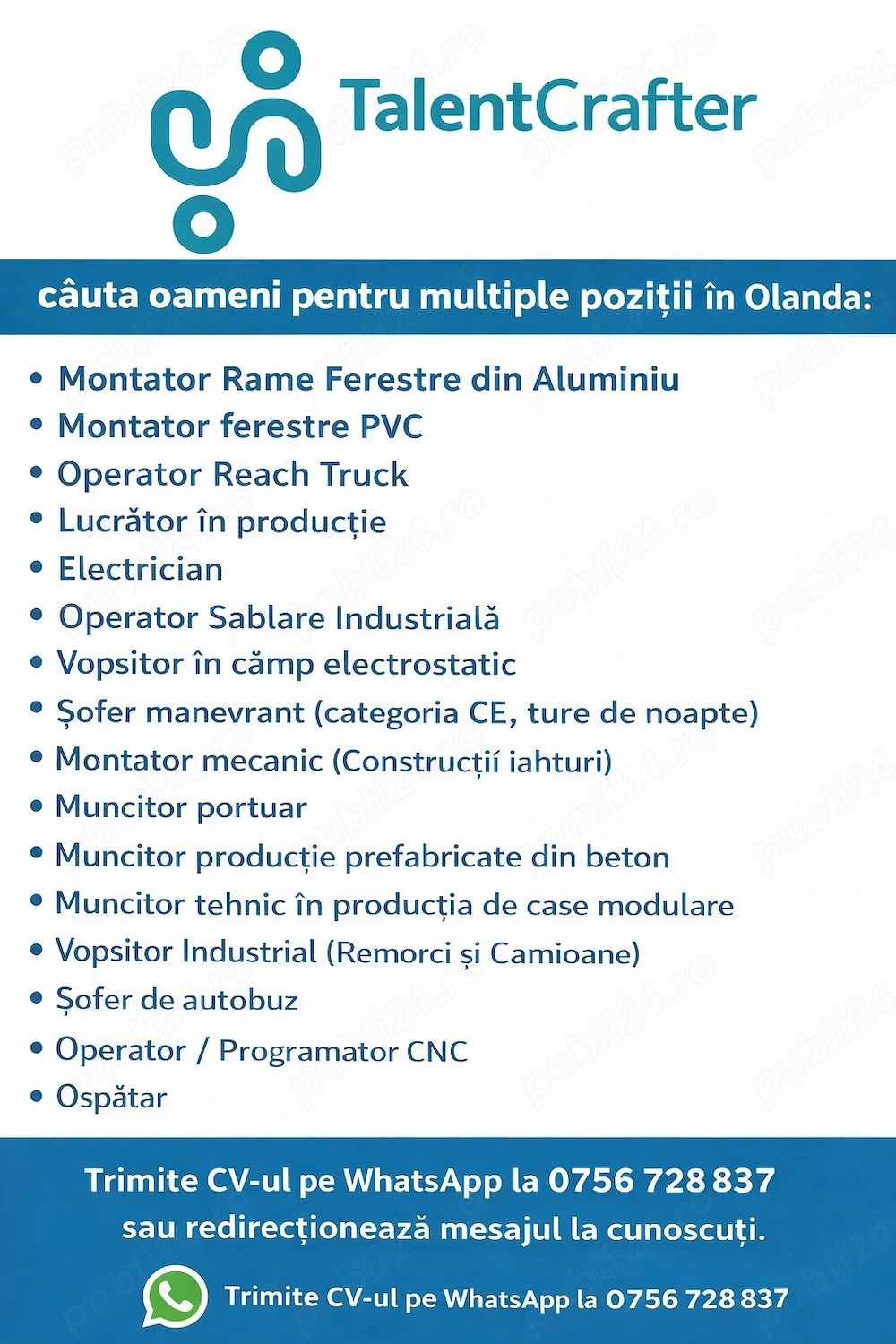   TalentCrafter recrutează pentru OLANDA! pentru cunoscatori de limba engleza (nivel conversati)