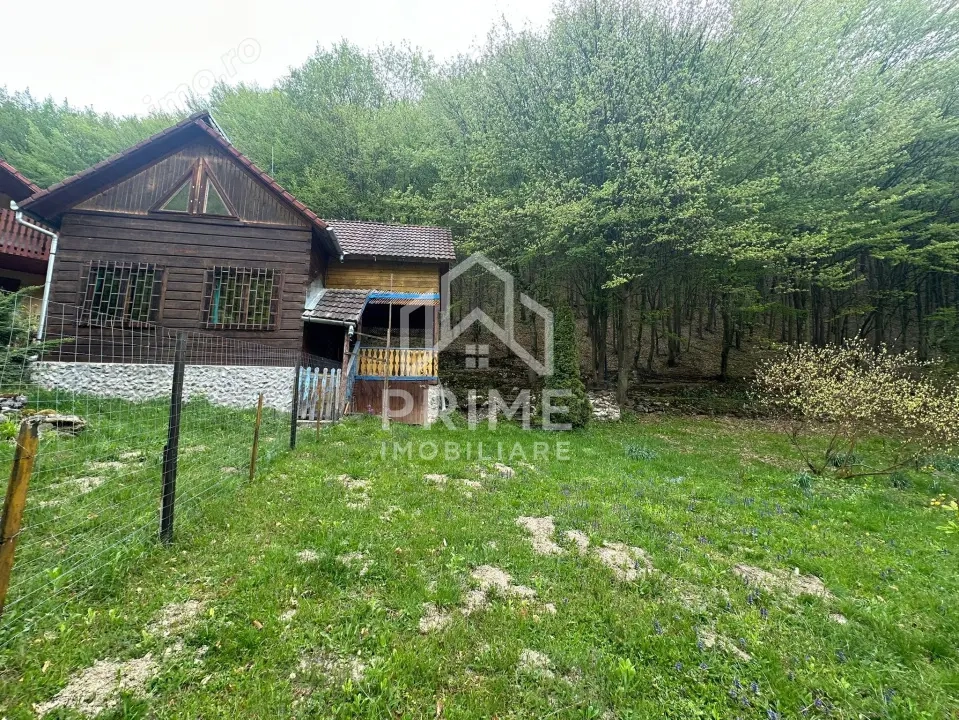 Cabana 5 camere, 75 mp| teren 900 mp| zona Iezer Ighiel