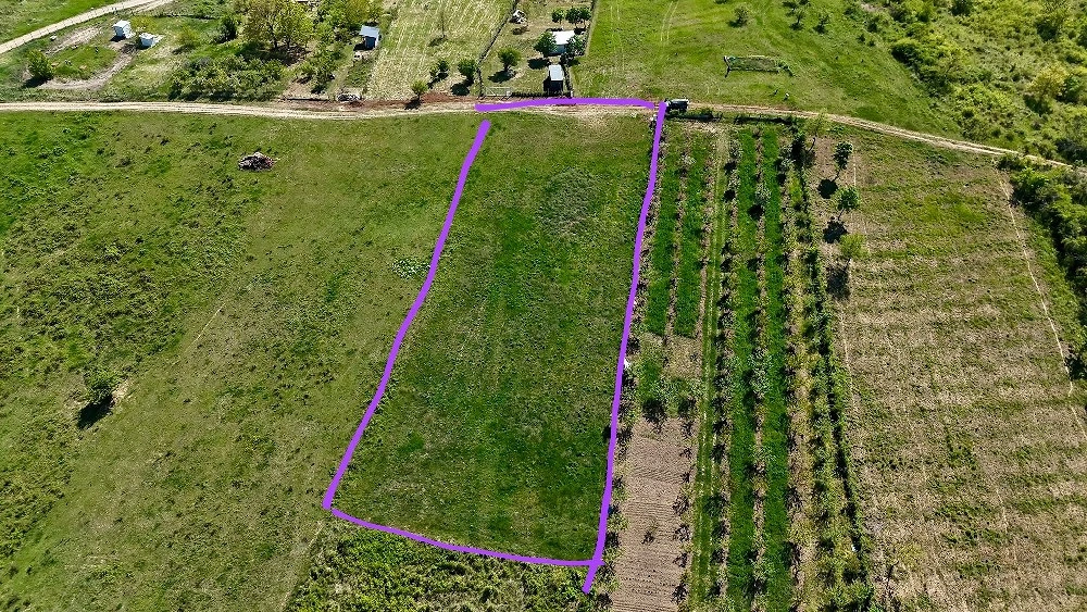  Teren intravilan. 3000 mp