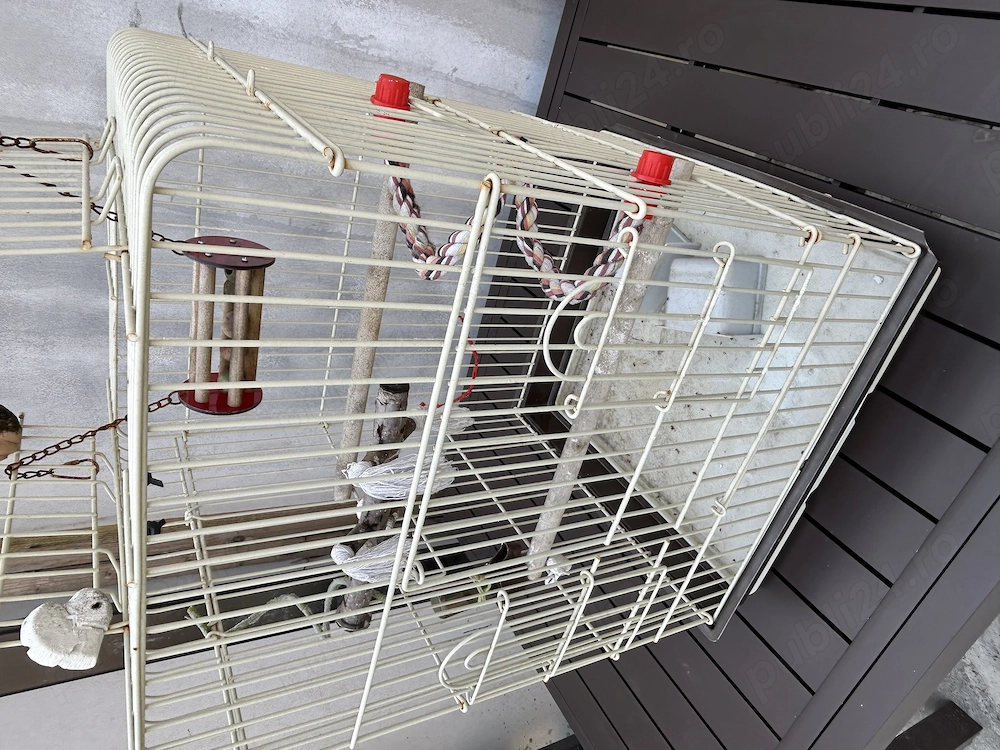 Colivie păsări 43x43x65