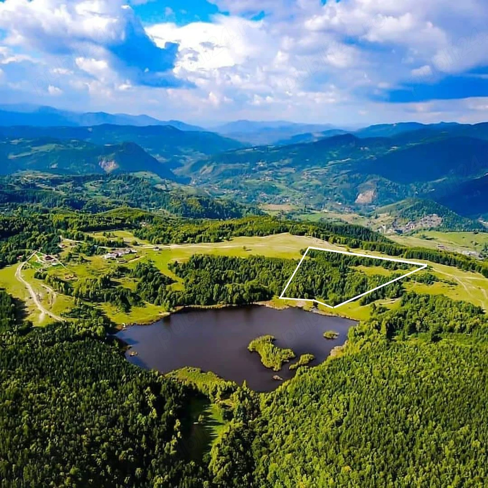 Domeniu privat 4 ha cu 105m deschidere directă la lac   Moșia Mociaru