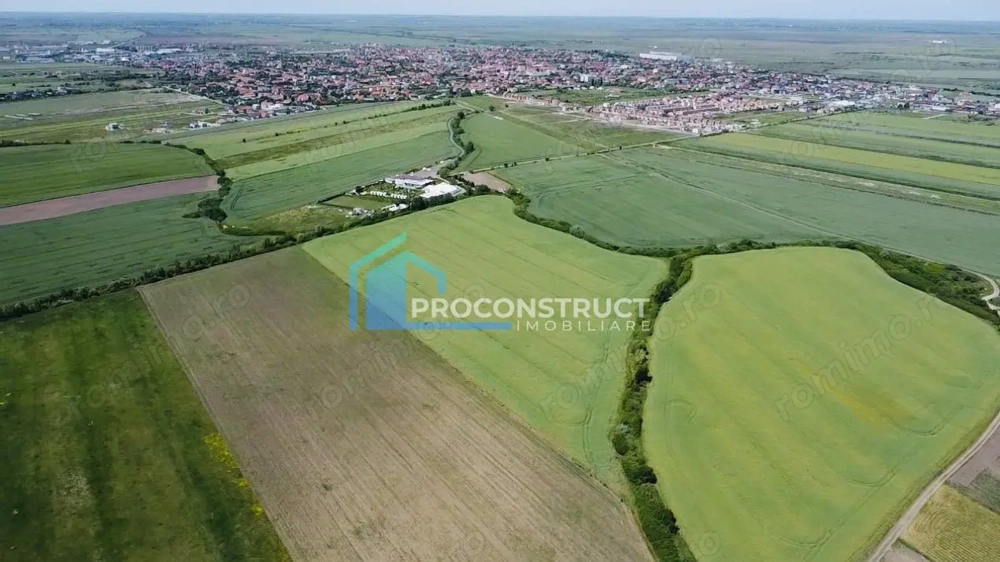 Teren extravilan | Sacalaz | 9990 MP | 2 Fronturi stradale