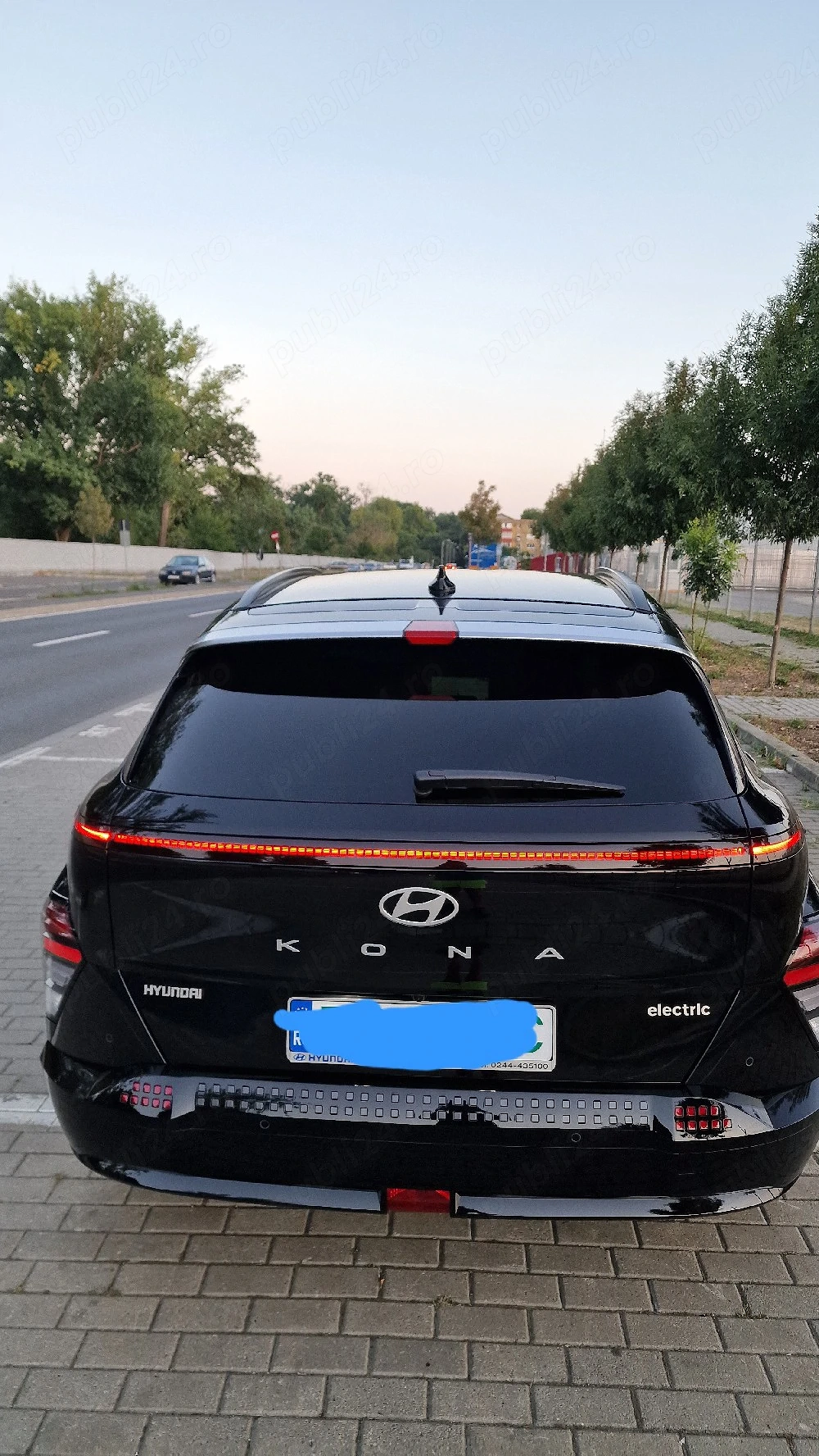 Hyundai kona electric