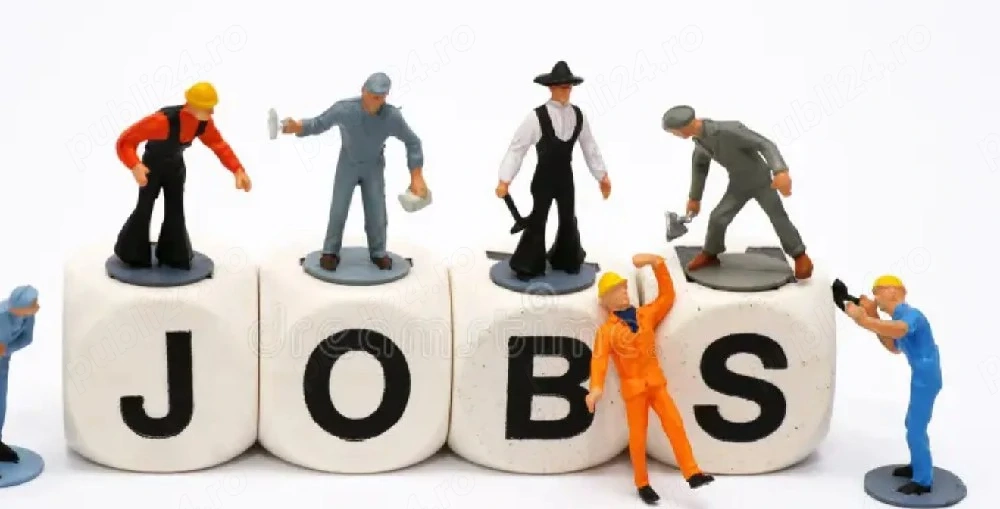 Disponibil imediat pentru part-time   Șofer B, C, E | Mecanică & Detailing Auto
