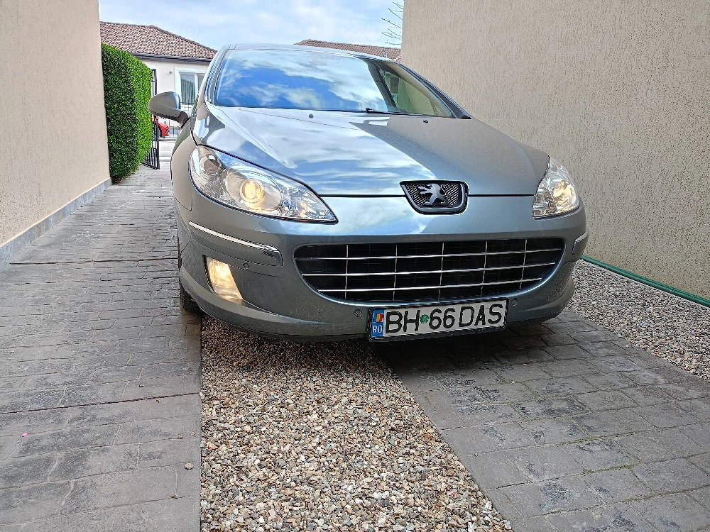 Vand Peugeot 407