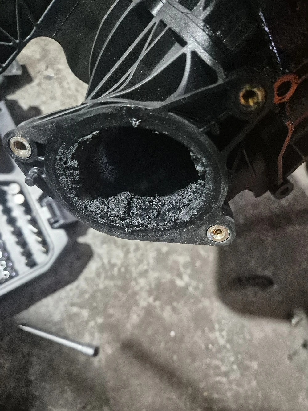 curatare galerie admisie bmw