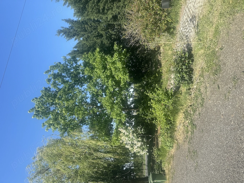 Vând Fermă în localitate Cenad DN6
