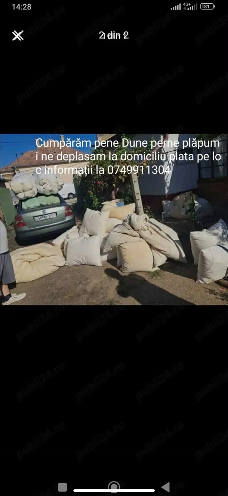 Achizitie de pene de gasca 