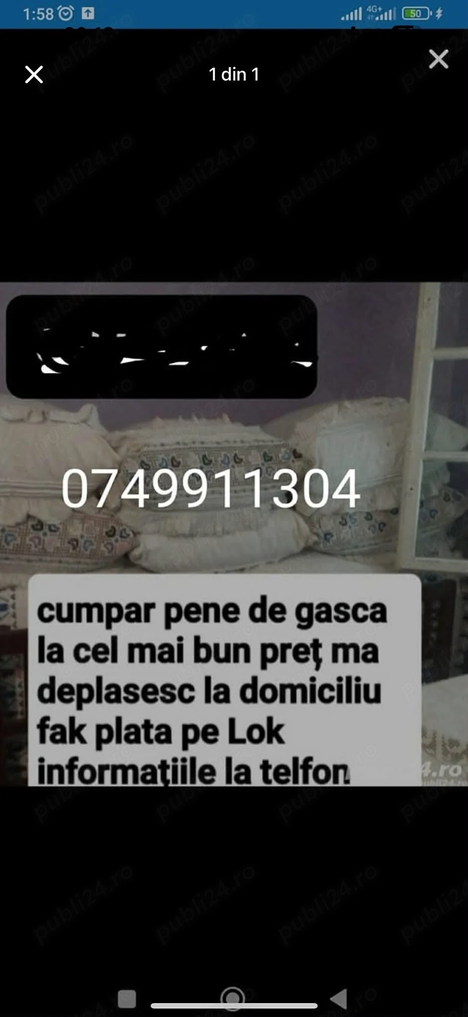 Achizitie de pene de gasca