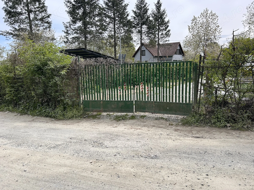 Gradina premium 1000 mp-Tocile de Sus, SADU