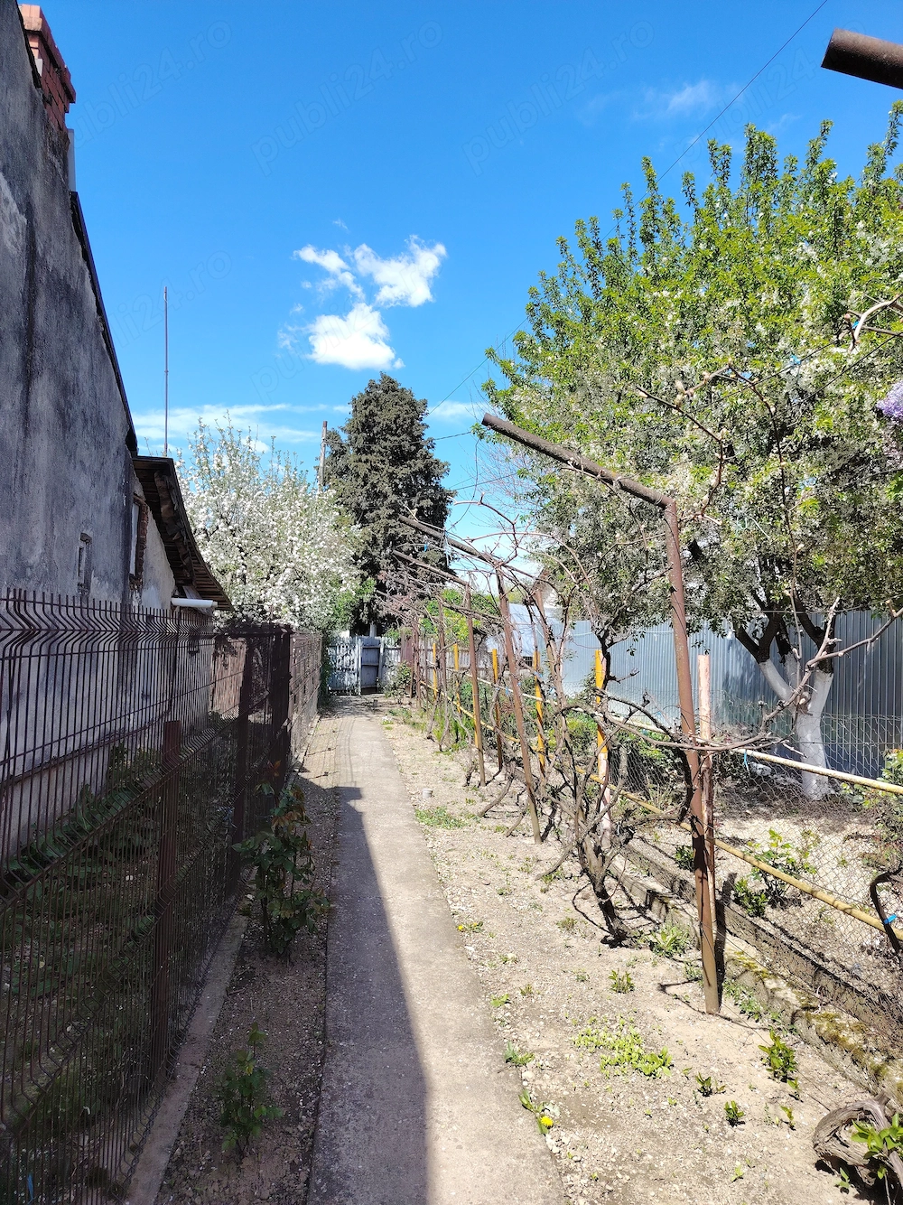 Casa cu teren 