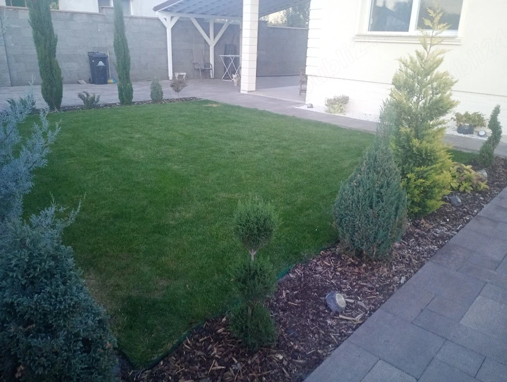 execut servici spati verzi