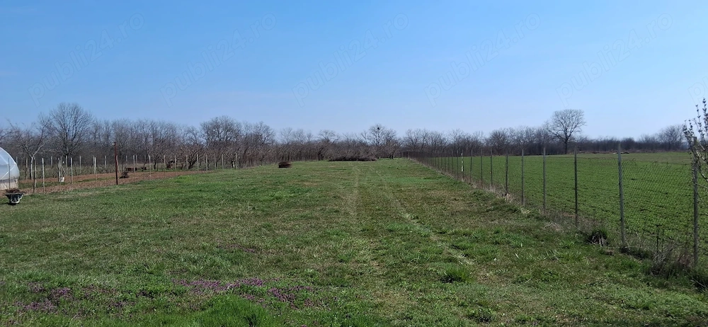 Teren intravilan - 3.000 mp , zona linistita 