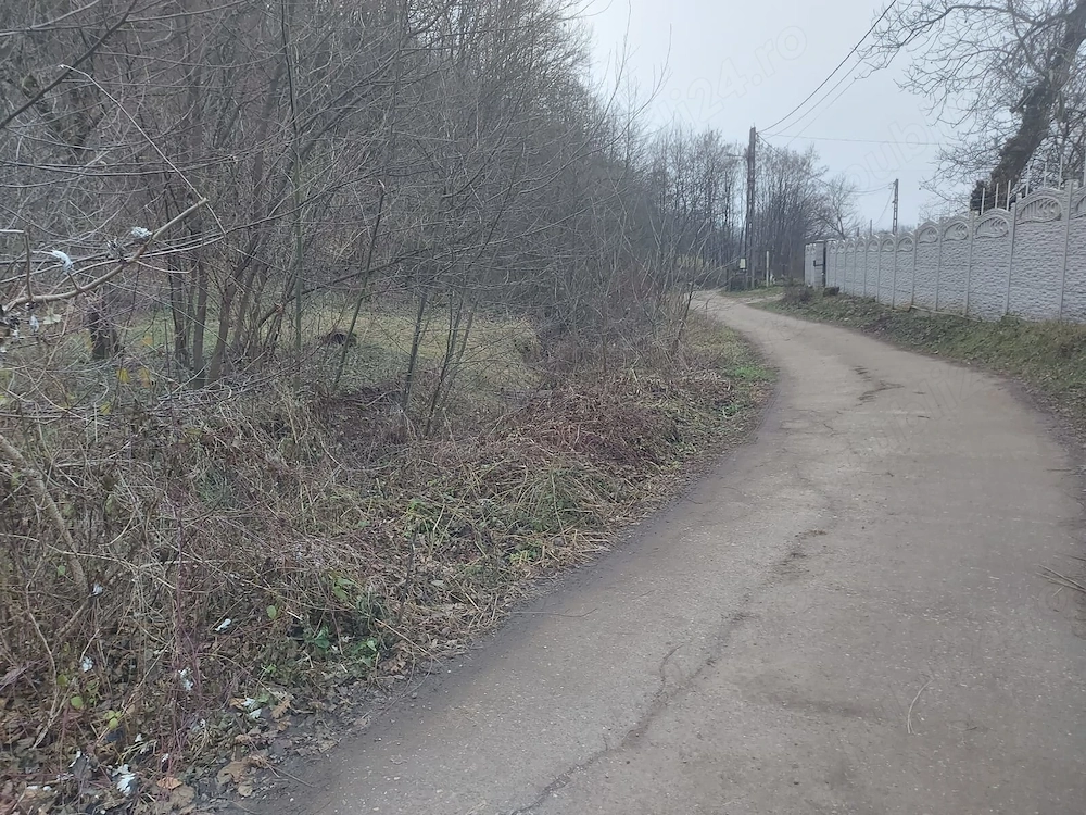 Se vinde teren intravilam si extravilan in judejul Hundoara,comuna Certeju de Sus,sat Nojag  