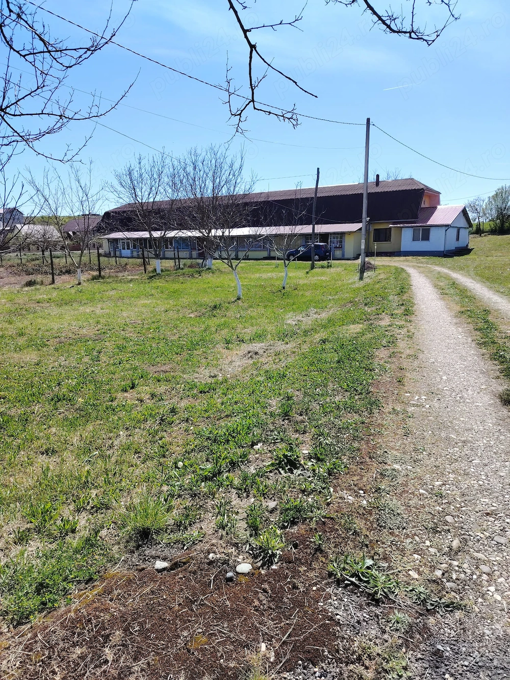Teren intravilan 6000 mp cu casa 