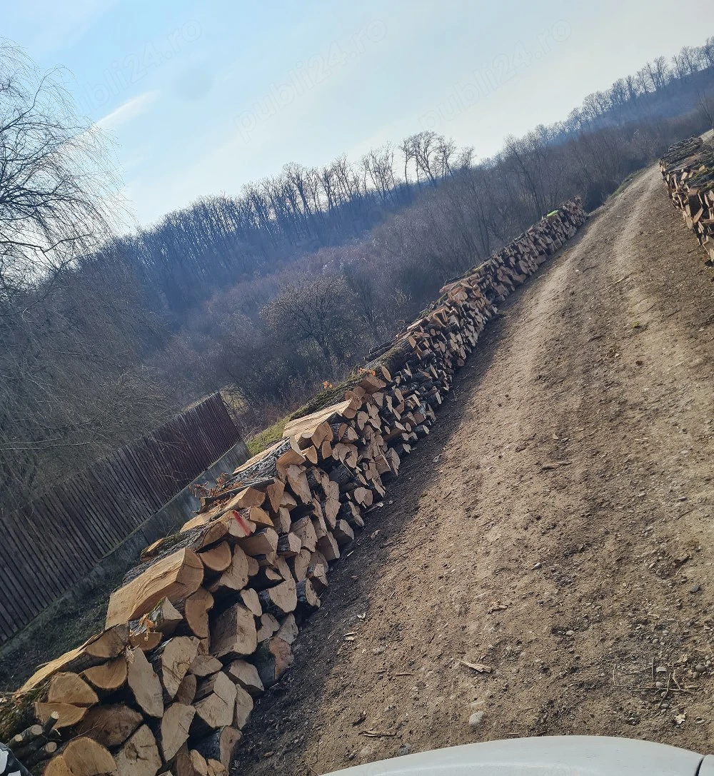 lemne de foc 