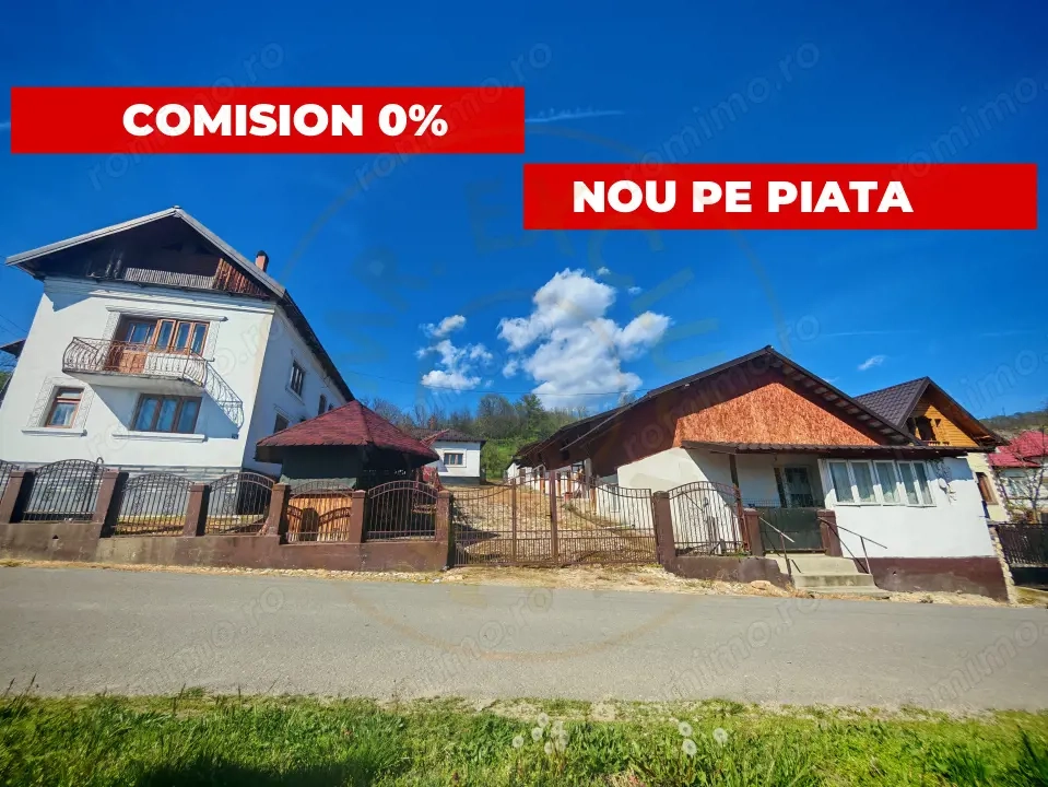 2 Case + teren 3233 mp Darmanești Arges