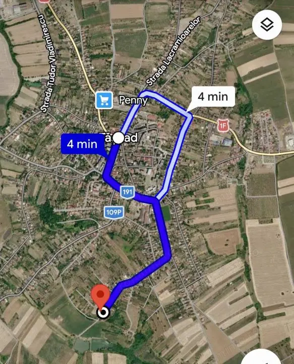 Teren cu pomi fructiferi , vie si loc de casa