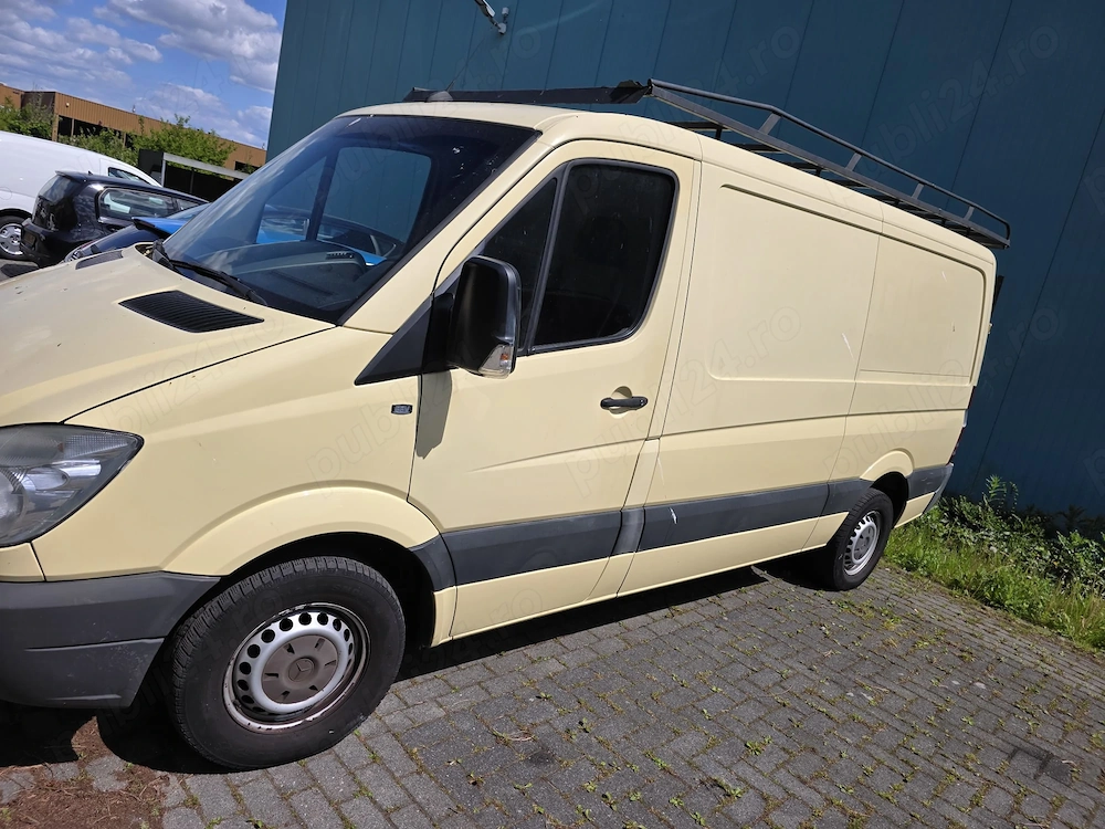 Sprinter 2010