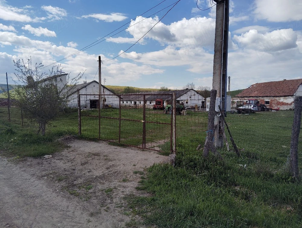Vând casa si fermă 
