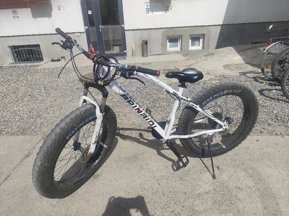 bicicleta fat bike