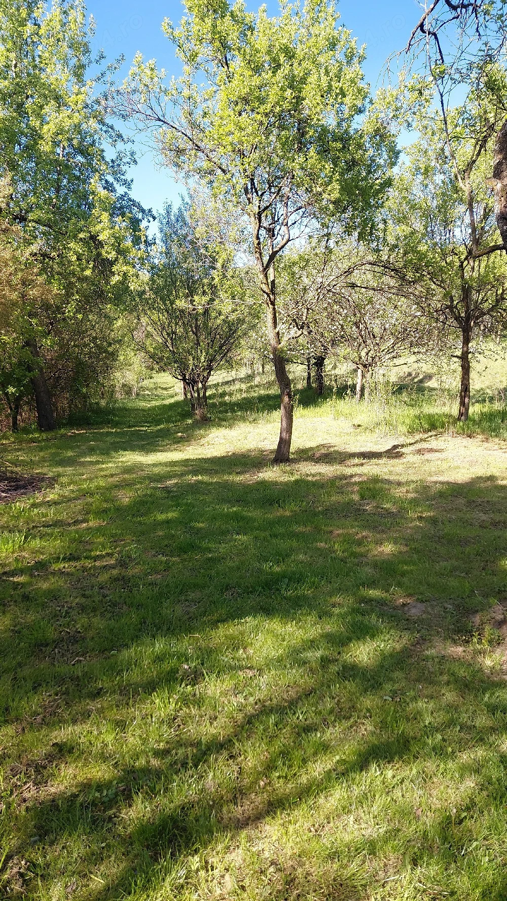 casa de inchiriat la tara in Tautii Magheraus .