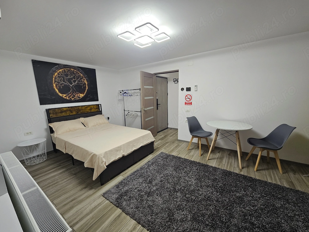 Cazare-inchiriere, Regim hotelier Garsoniera (de lux) Vacanta Tur, Centru.