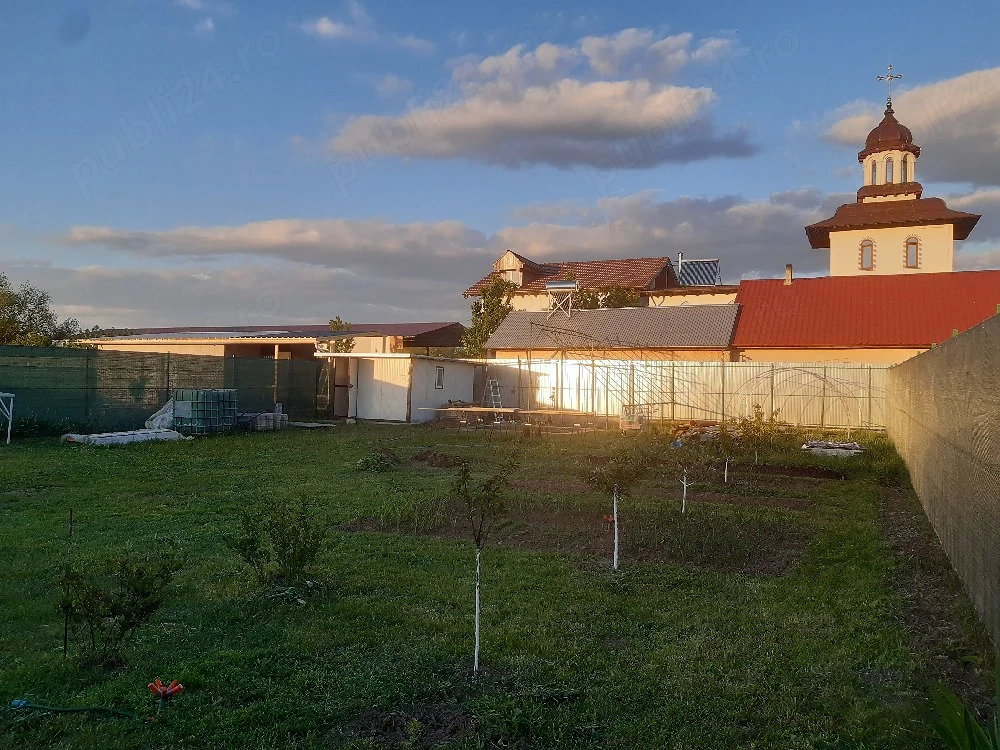 Teren Intravilan Timisoara.Proprietar!