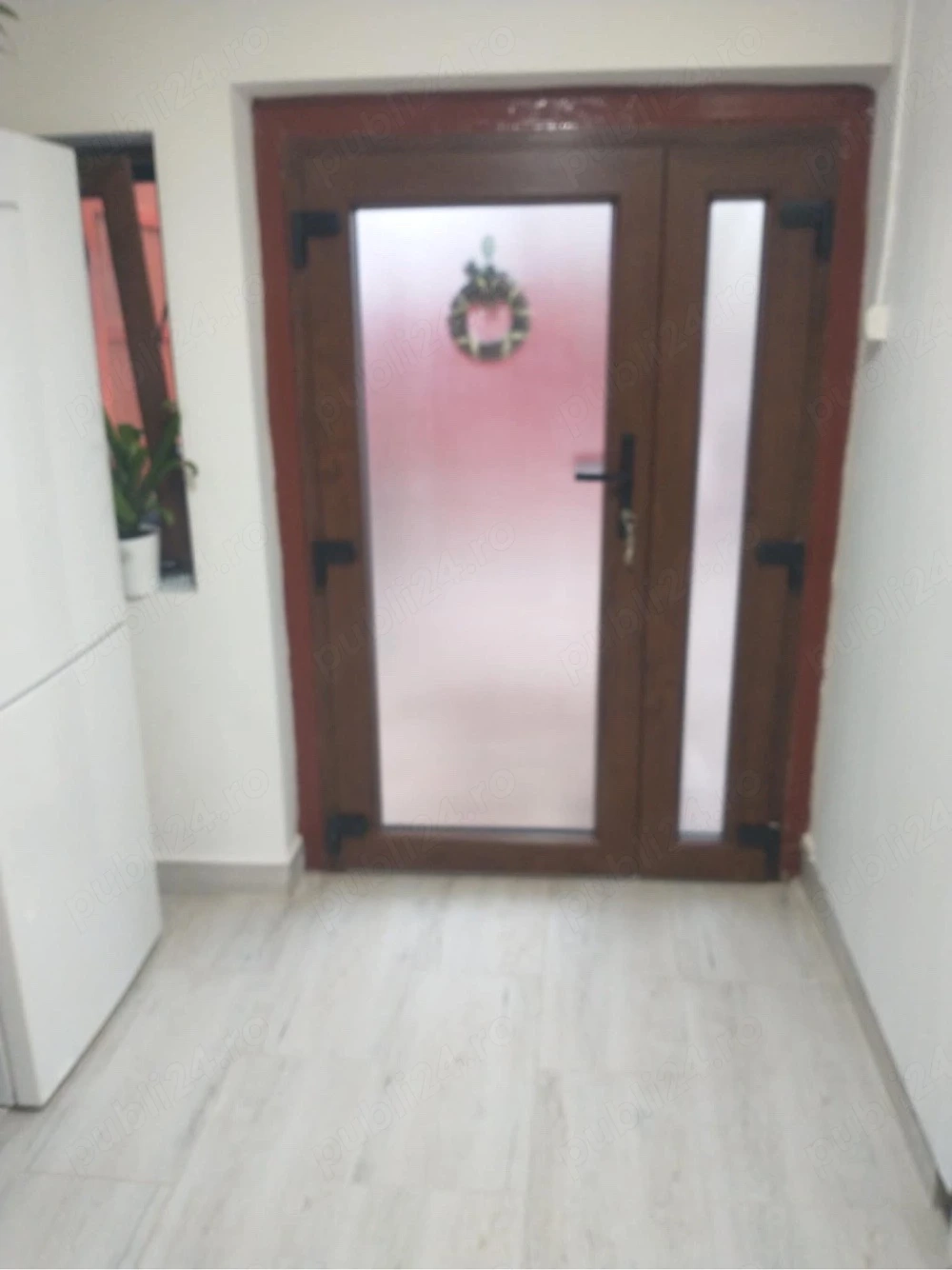 Vand Casa in Gradina Viilor