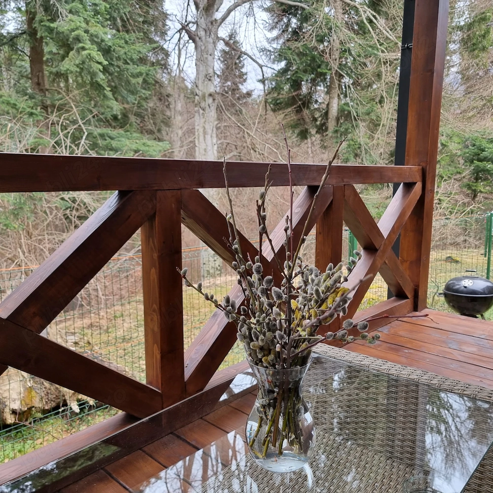 Chalet Amik in Bușteni! 