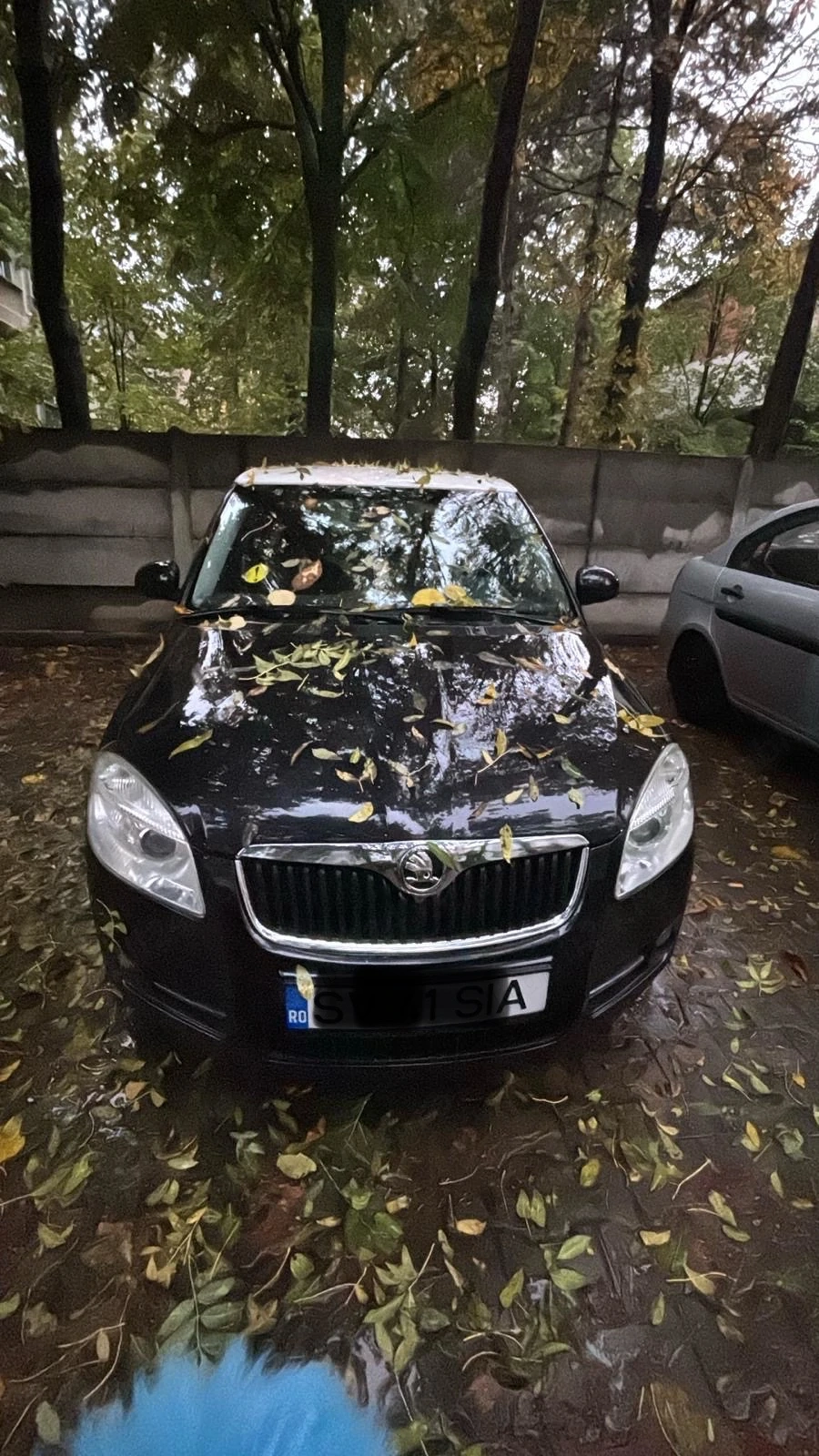 vand skoda fabia
