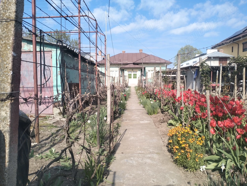 Casa la curte in orasul Oltenita