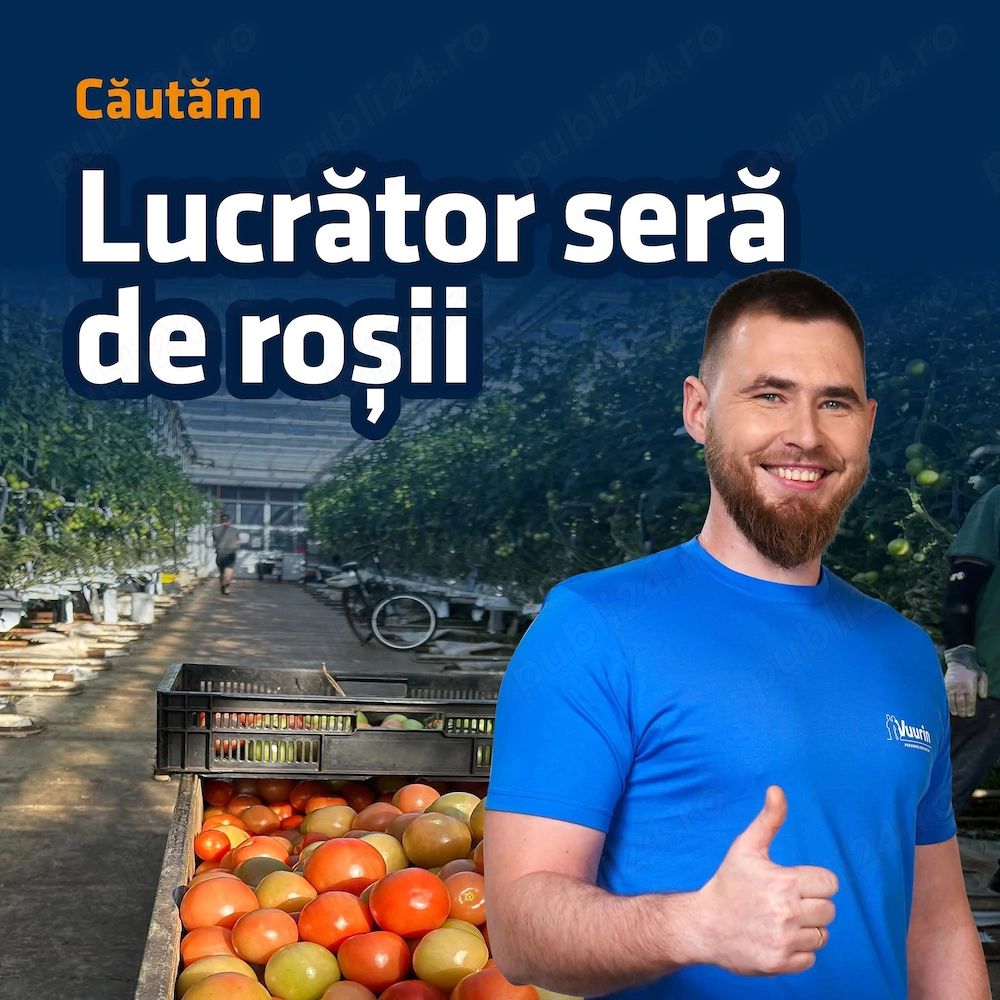 Se caută cupluri  la sere de roșii și vinete 