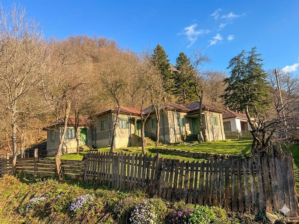 Vând casă de vacanță,, Focul Viu"