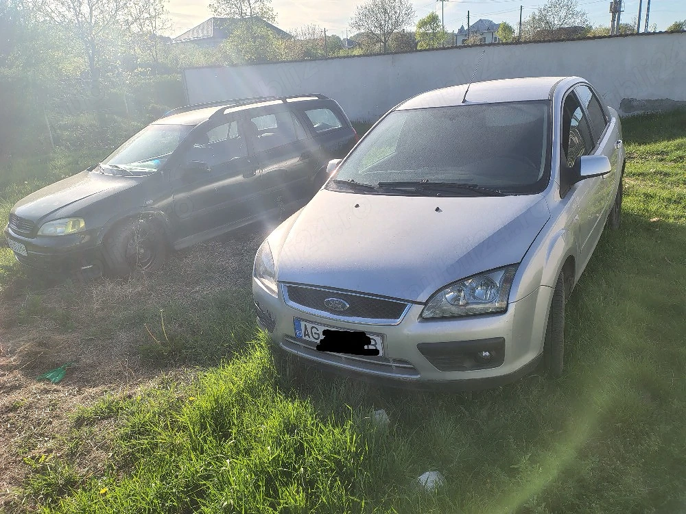 vand sau schimb cu papaglai sau si altele 