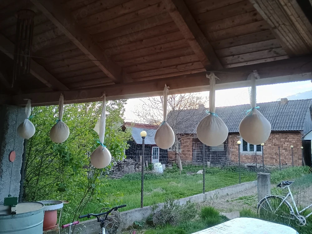 Cas de capră 