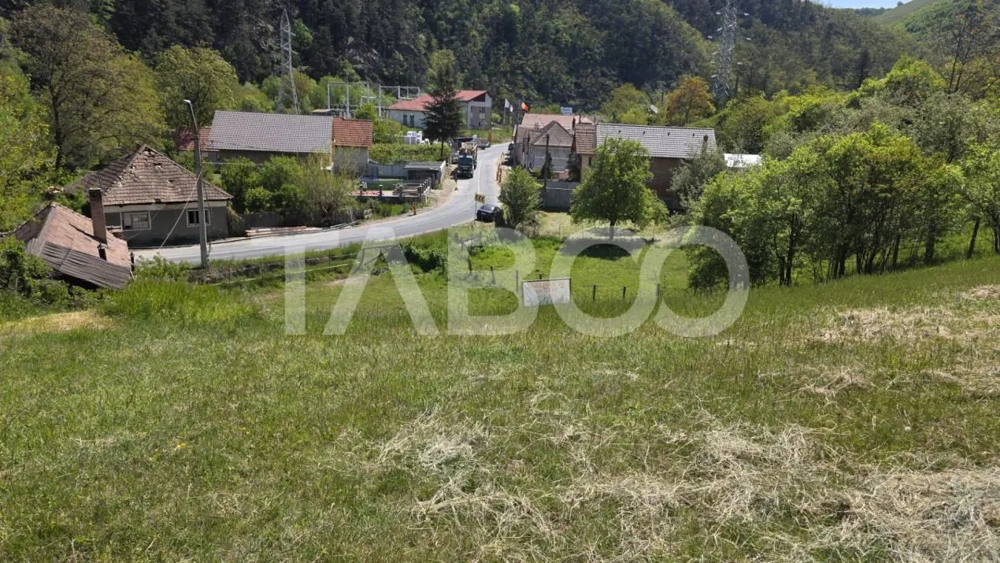Teren intravilan de vanzare in Sasciori jud Alba