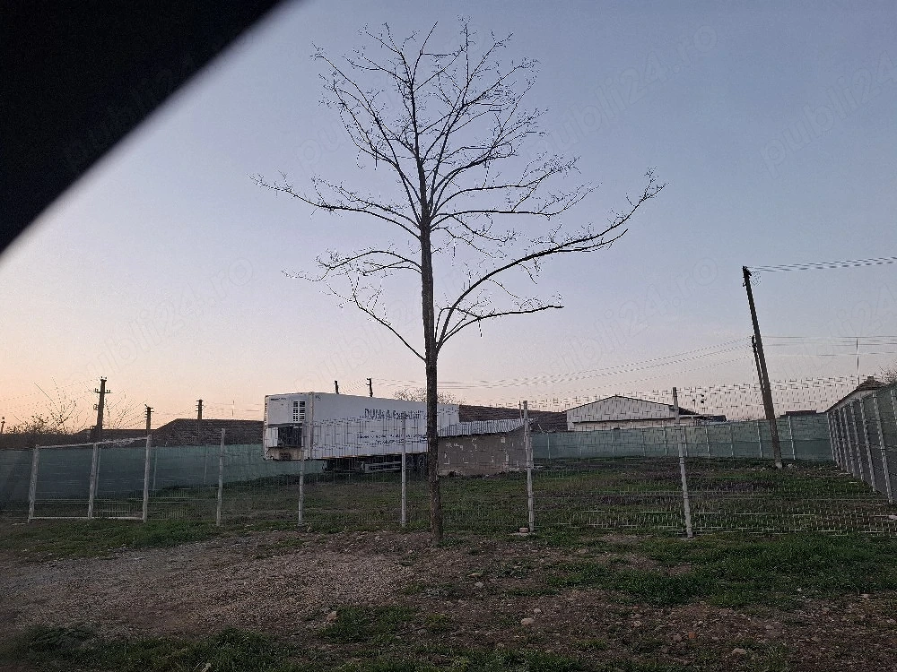 închiriez teren in Giarmata 700 m2 zona industriala