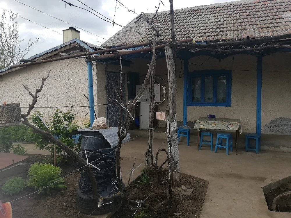 casă vinzare