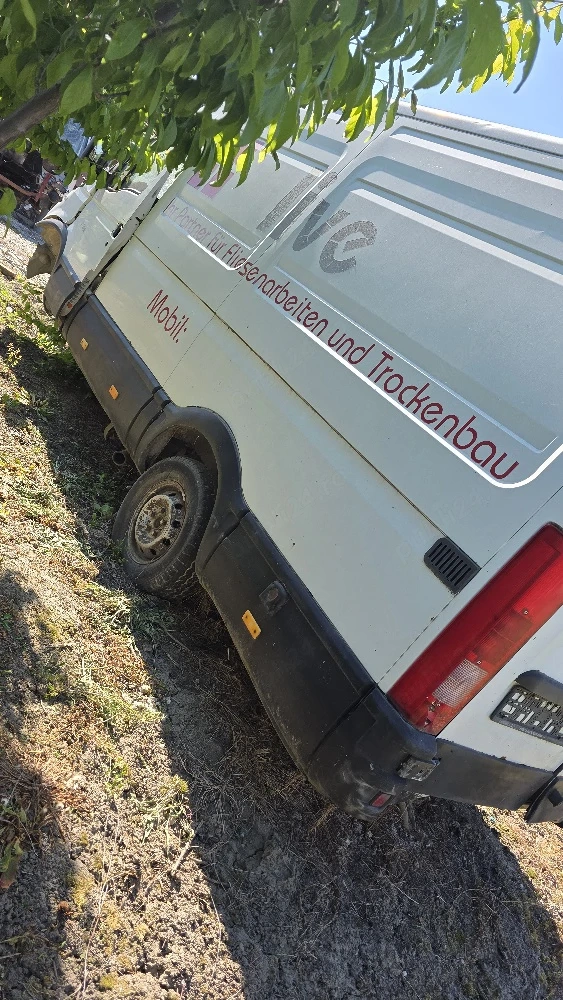 Vand punte simpla ibeco daily 