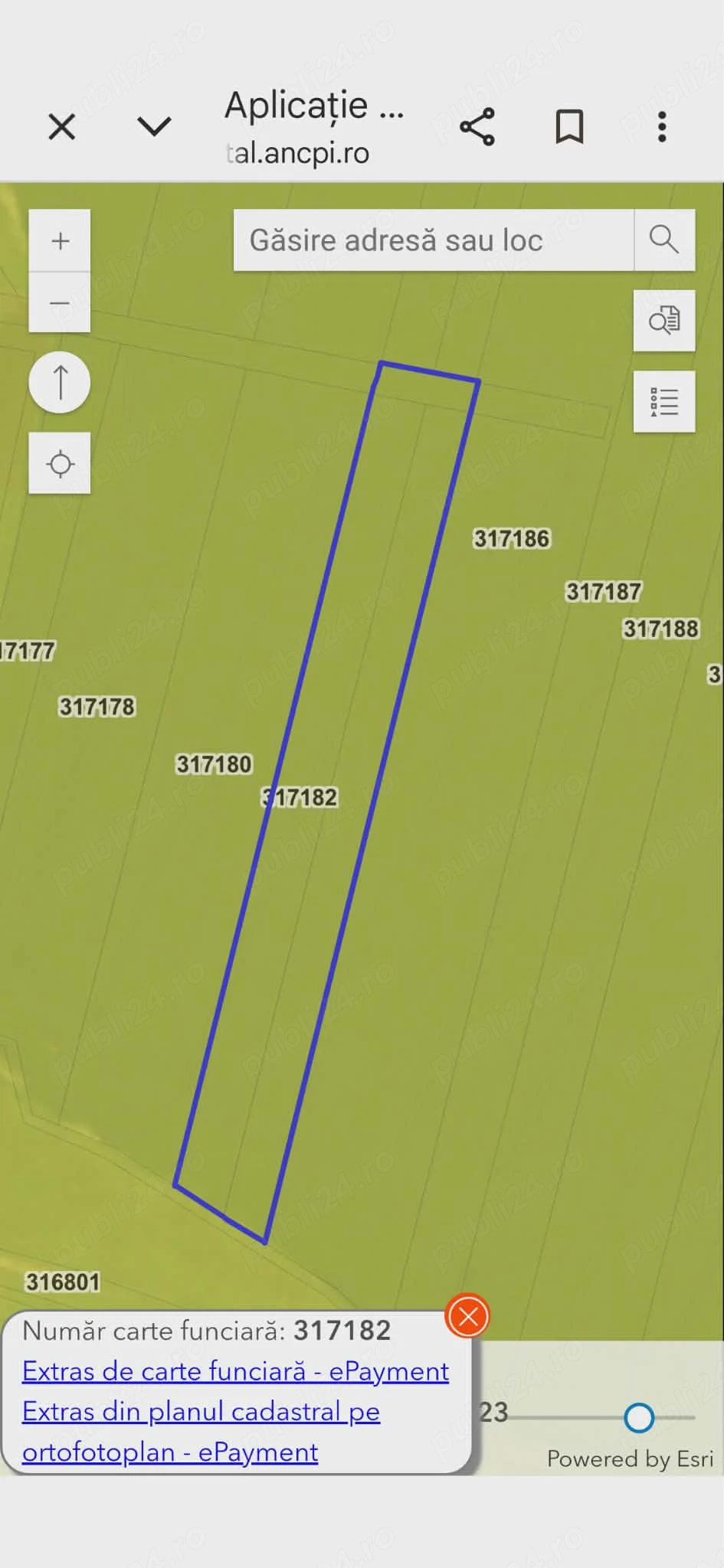 Vand teren agricol in Pecica( Turnu) 3,9 ha(fara contract cu arendas)