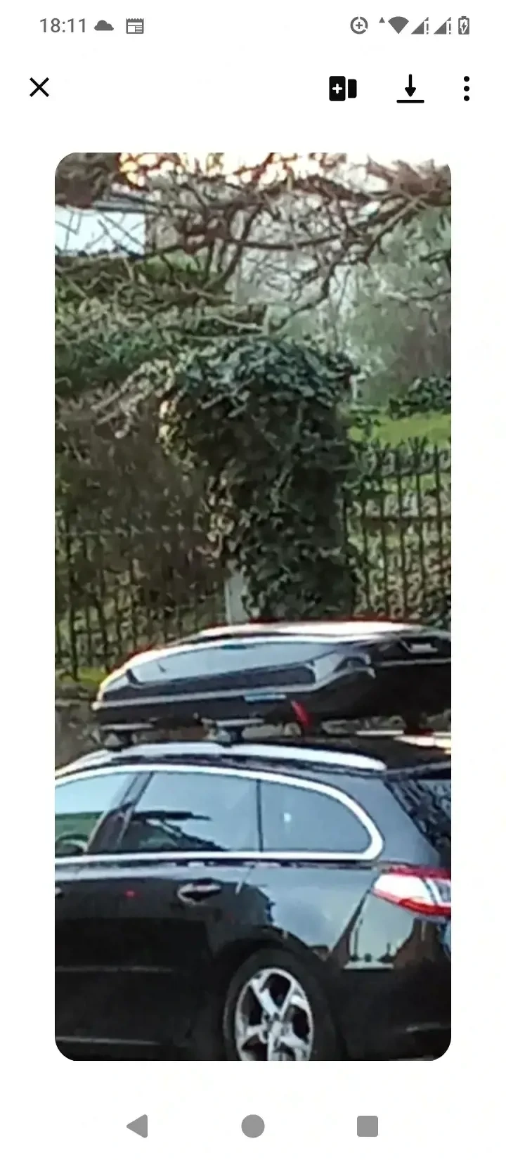 Bermude 400 norauto