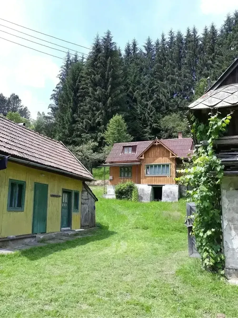 De Vanzare Cabana Rachitele Cluj!